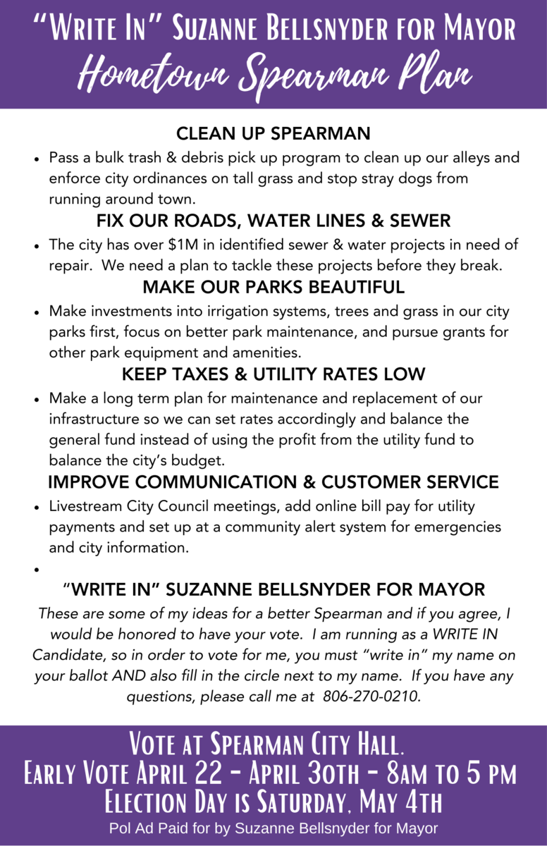Write - In Suzanne Bellsnyder for Mayor